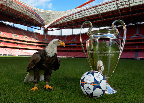 湖媒：东契奇重新登顶组织天赋指标排行榜（湖媒：东契奇再度领跑组织天赋指标榜）